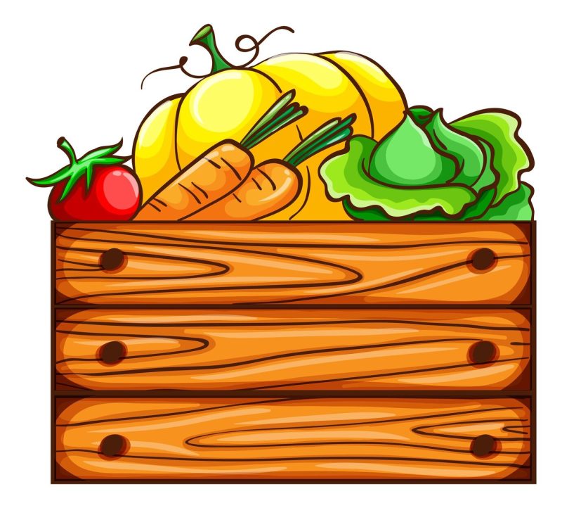 A simple sketch of a harvest from the farm Free Vector