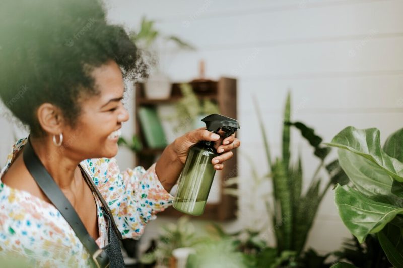 Small business worker misting plants with a water spray Free Photo