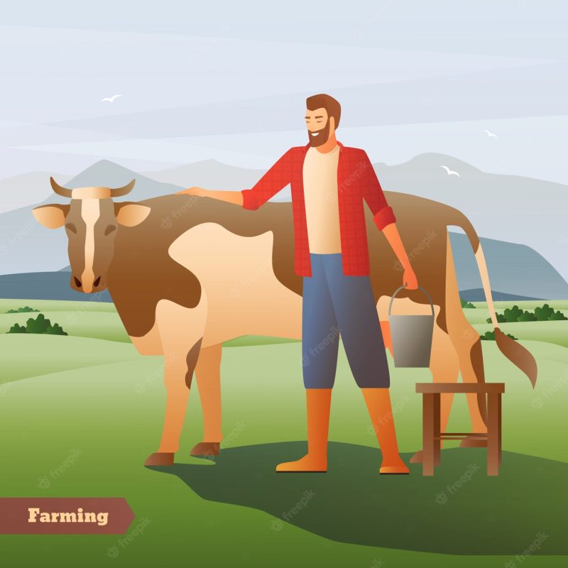 Smiling farmer with bucket near spotted cow on green pasture on mountain background flat composition Free Vector