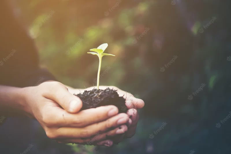 Soil green farming small background Free Photo