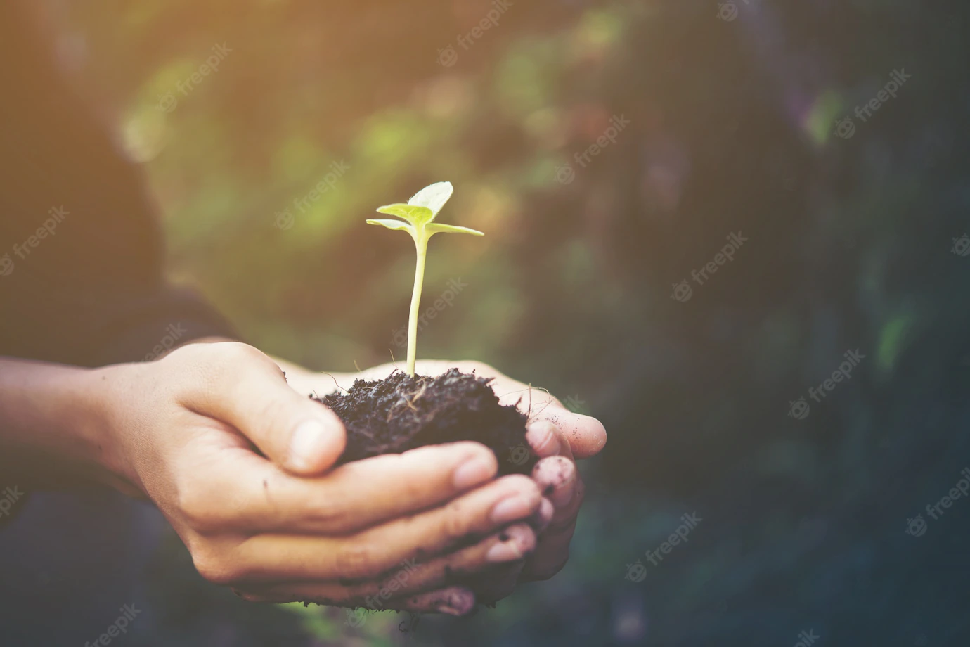 Soil Green Farming Small Background 1150 1727