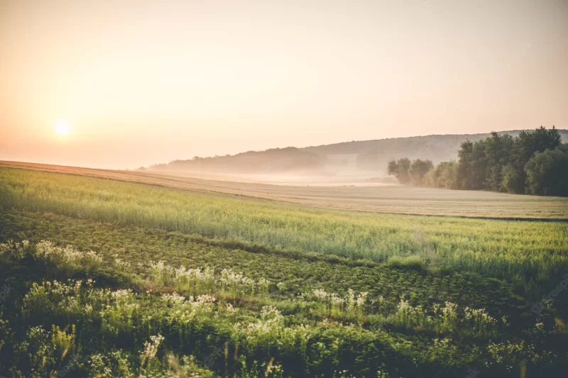 Sunrise over farmland Free Photo