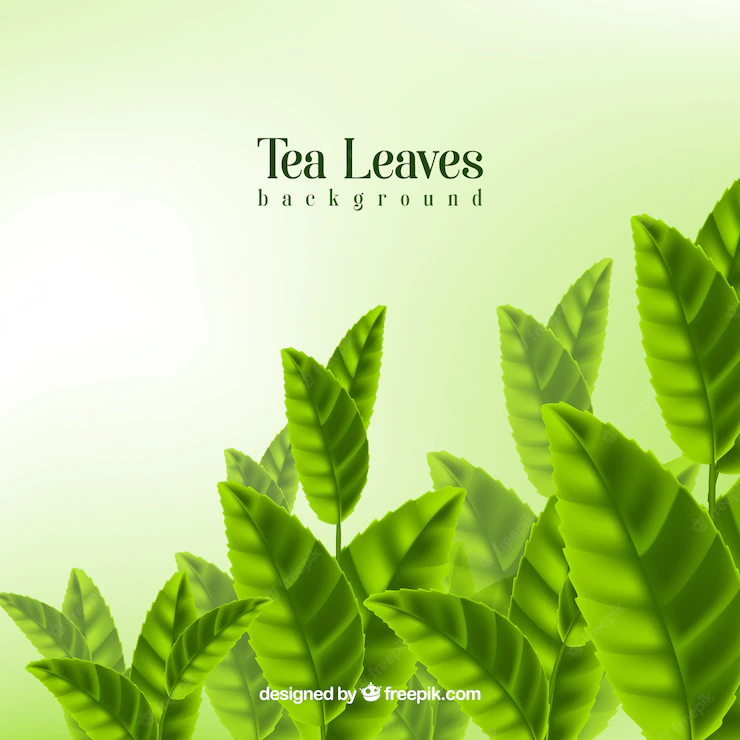 Tea Leaves Background With Realistic Style 23 2147851146