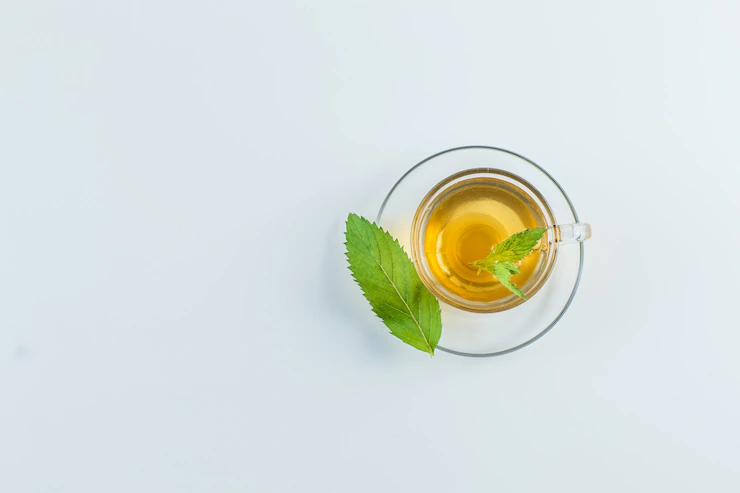 Tea Mug With Herbs Flat Lay White Background 176474 9848