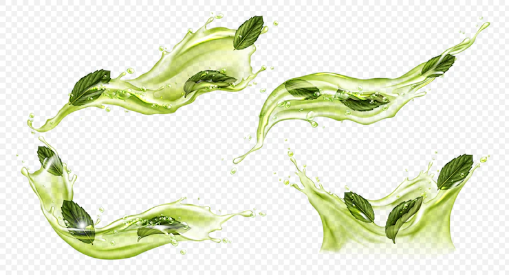 Vector Realistic Splash Green Tea Matcha 107791 2296