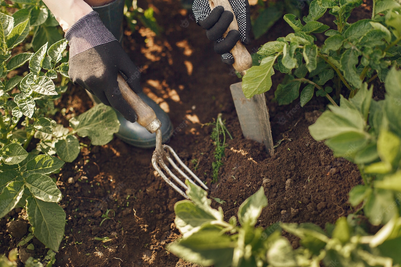 Woman Hat Working Garden 1157 38523