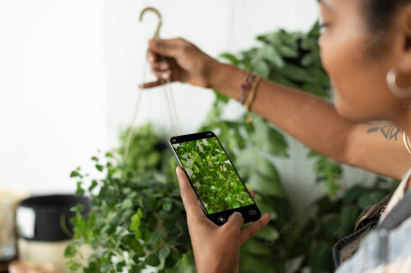 Woman takes a photo of houseplant to share on social media Free Photo