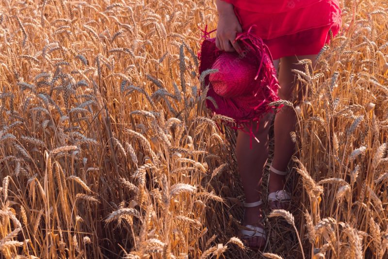 Young female in a beautiful red dress enjoying the sunny weather in a field of wheat Free Photo