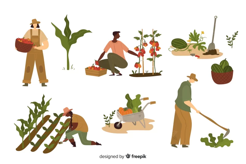 Young people working in agriculture Free Vector