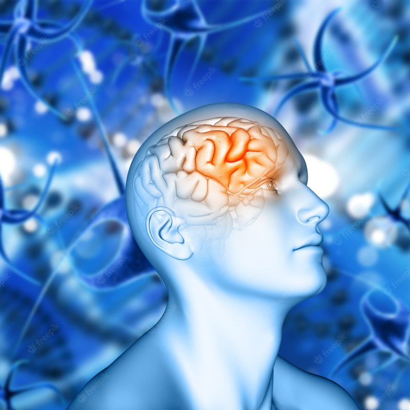 3d male figure with brain highlighted on virus cell background Free Photo