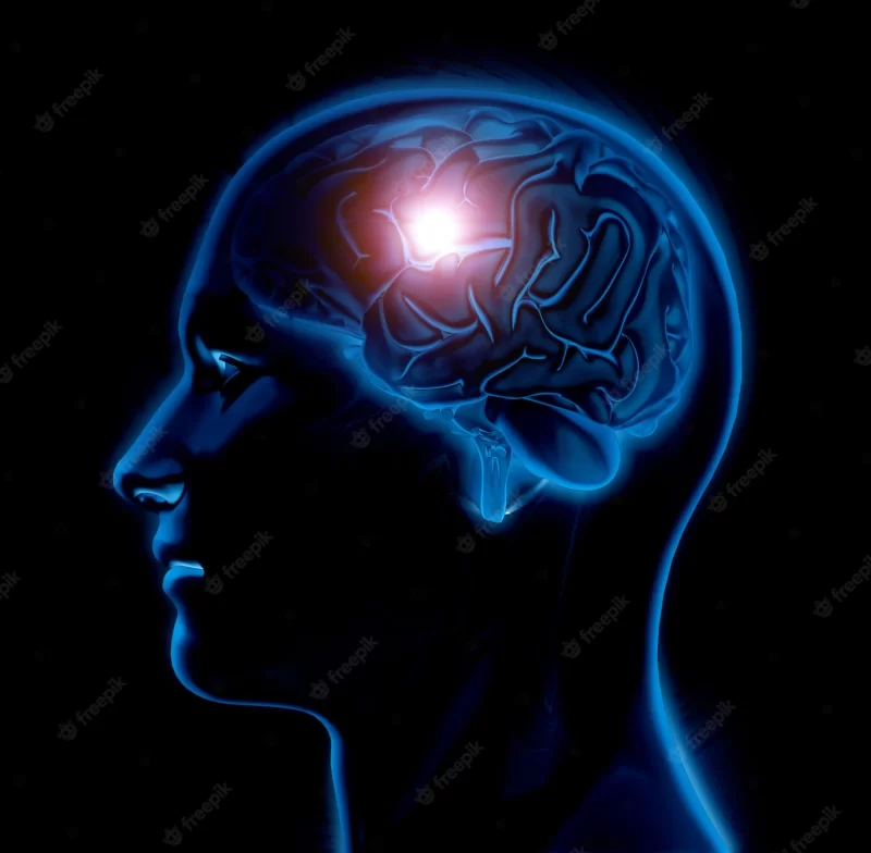 3d male medical figure with brain highlighted Free Photo