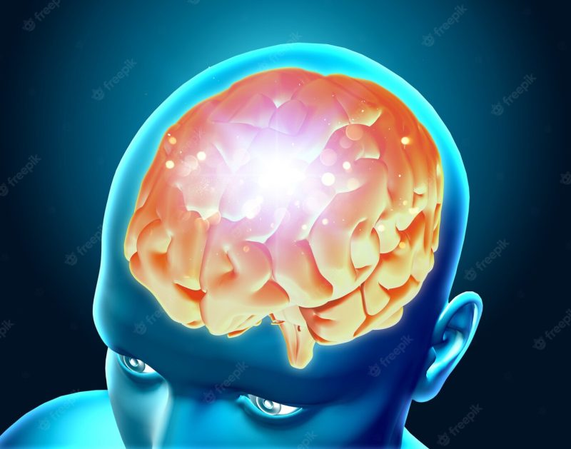 3d render of a highlighted brain Free Photo