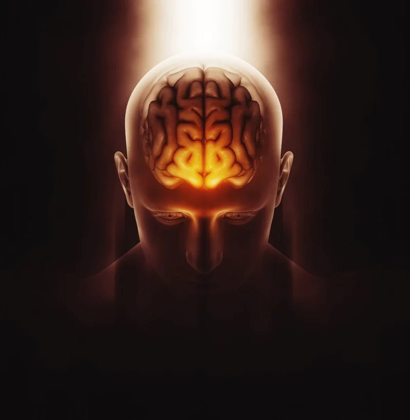 3d render of a medical image of a male figure with brain highlighted Free Photo