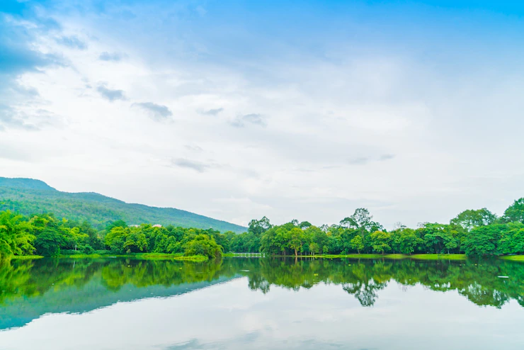 Beautiful Green Park With Lake Ang Kaew Chiang Mai Universi 1232 3399