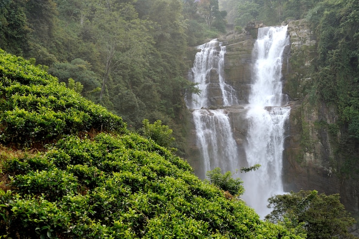 Ramboda waterfall Free image download