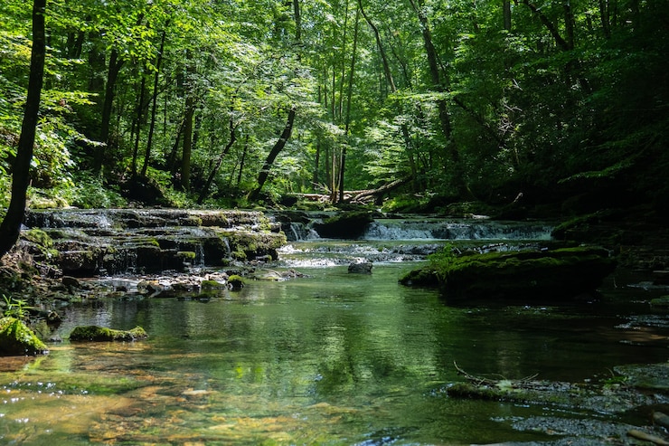 Beautiful Scenery River Surrounded By Greenery During Daytime 181624 36909