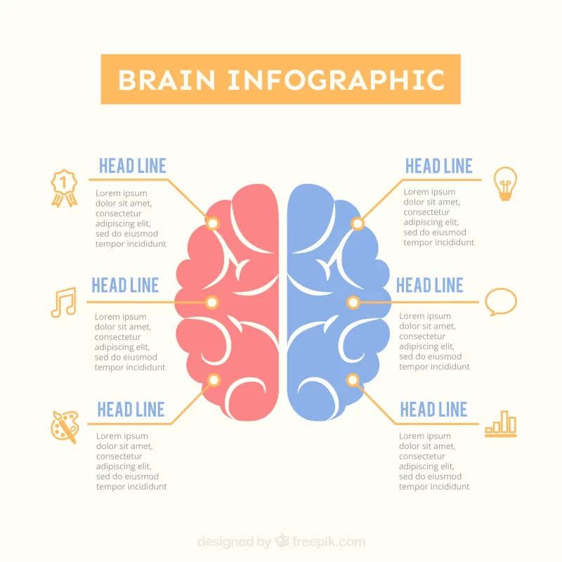 Brain infographic template in pastel colors Free Vector