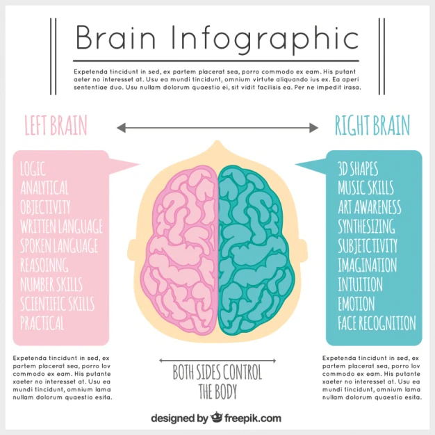 Brain infographic template in pink and blue tones Free Vector