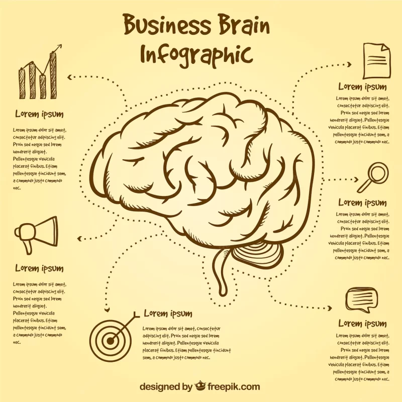 Brain infographic template with hand-drawn items Free Vector