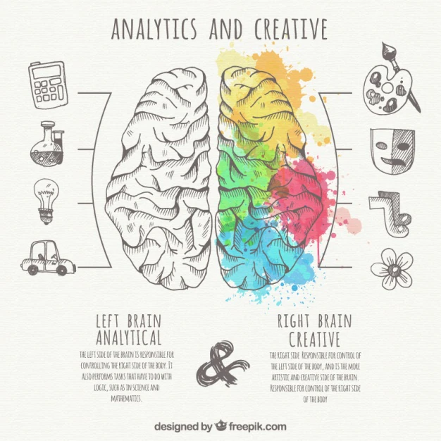 Brain Infographic With Analytic Creative Parts 23 2147589742