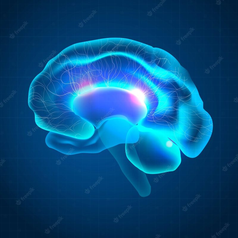 Brain for mental health care medical technology Free Vector