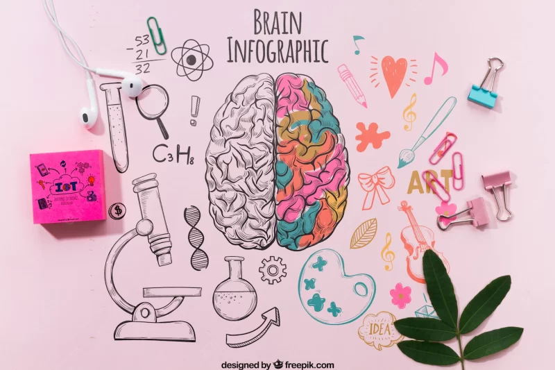 Colorful brain infographic on table template Free Psd