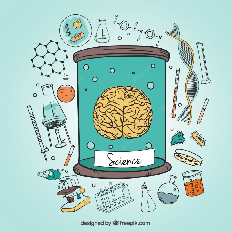 Human brain and science icons illustration Free Vector