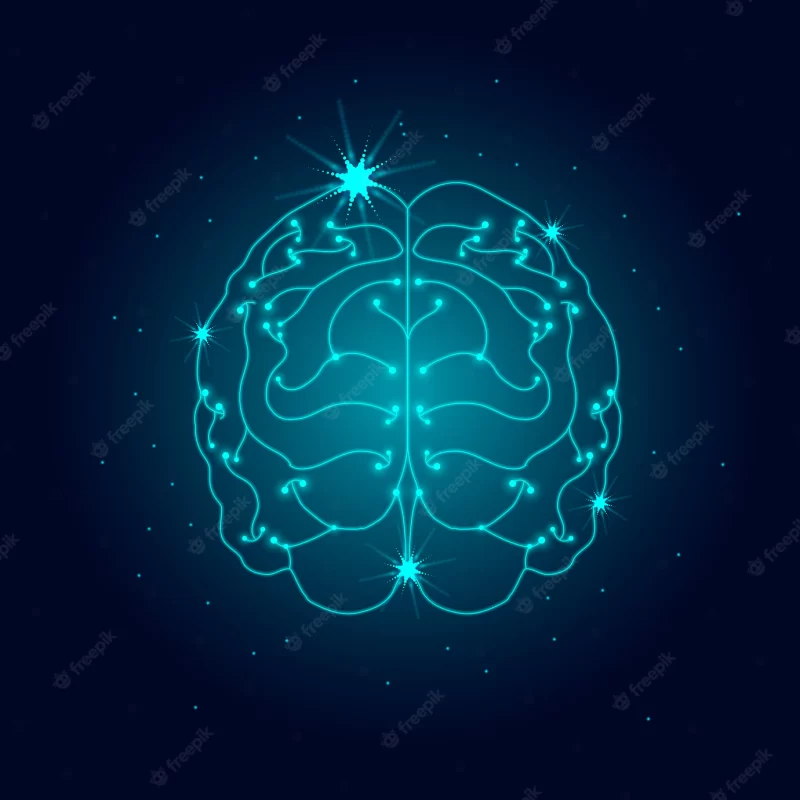 Human nervous system Free Vector