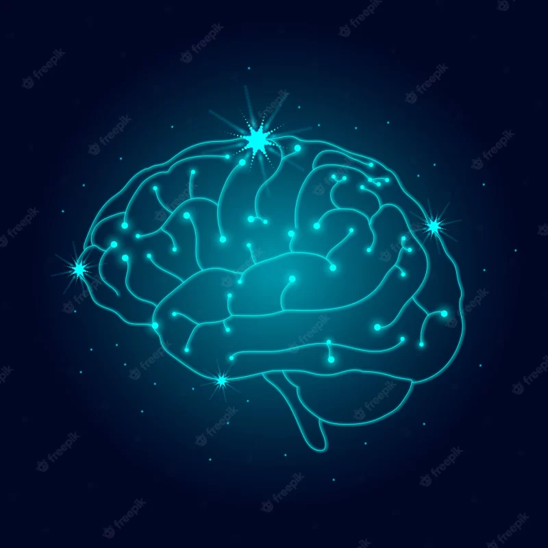 Human nervous system Free Vector