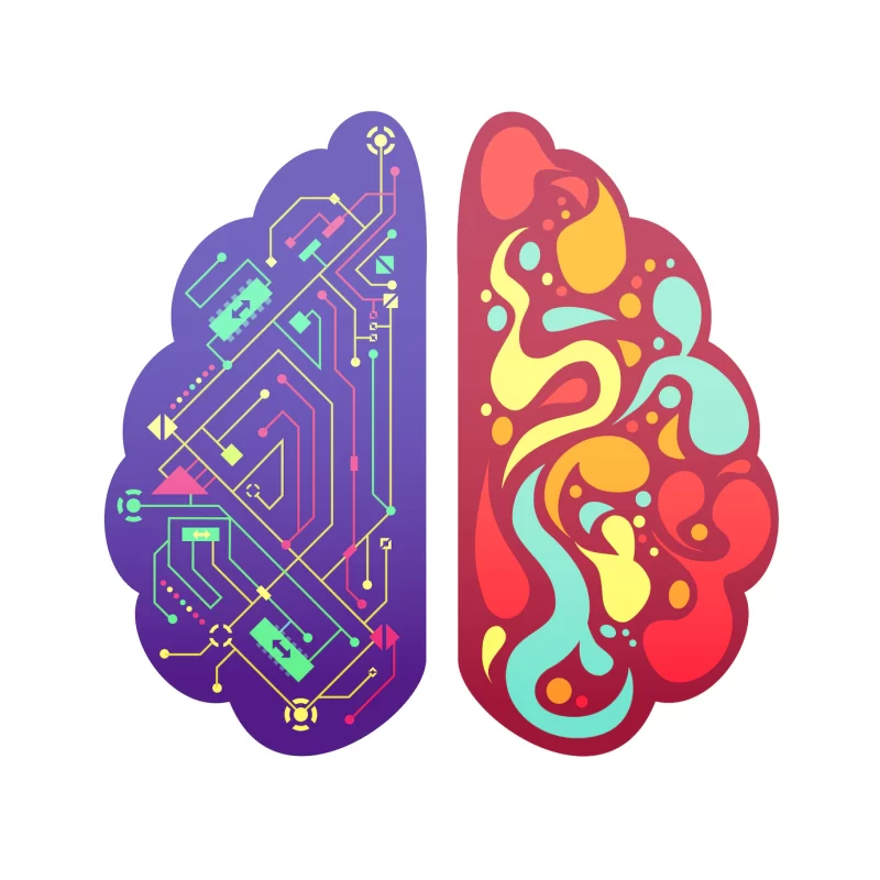 Left and right human brain cerebral hemispheres pictorial symbolic colorful figure with flowchart and activity zones vector illustration Free Vector