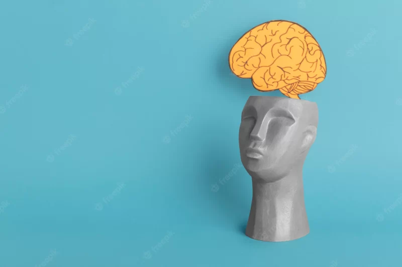 Memory concept with sculpture and brain Free Photo