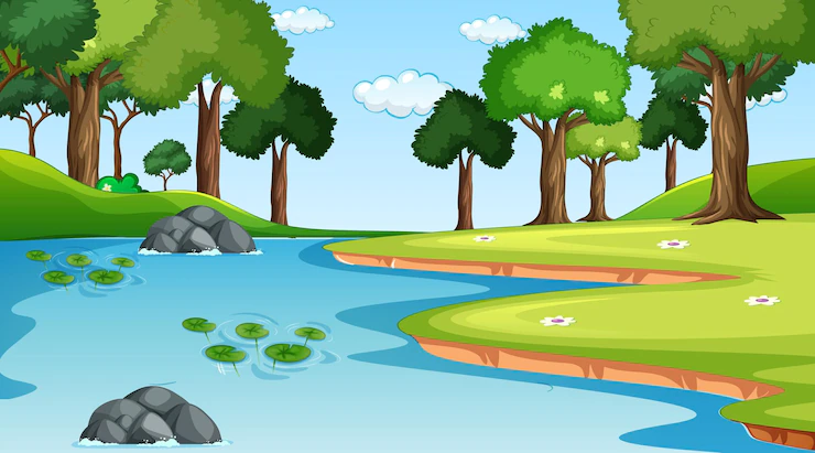 Nature Forest Landscape Daytime Scene With River Flowing Through Forest 1308 56534