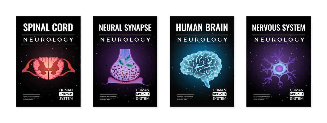 Neurology Concept Illustrations Set 1284 61323