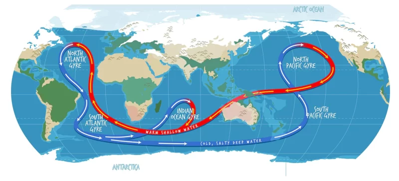 The ocean current world map with names Free Vector