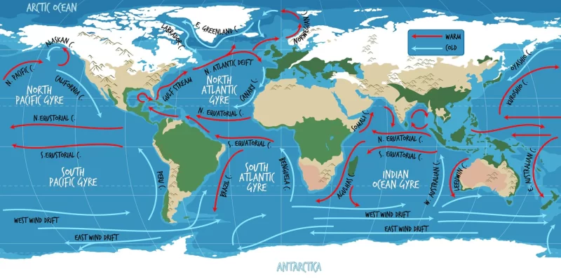 The ocean current world map with names Free Vector