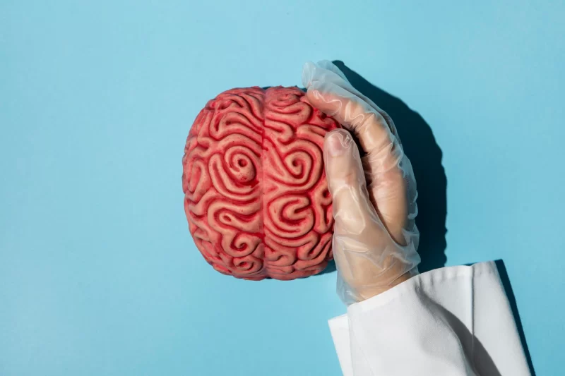 Top view person holding a brain Free Photo