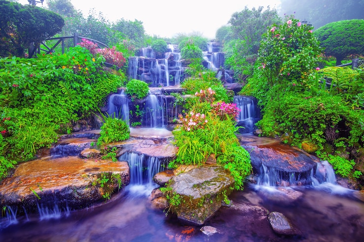 Water fall. Free image download