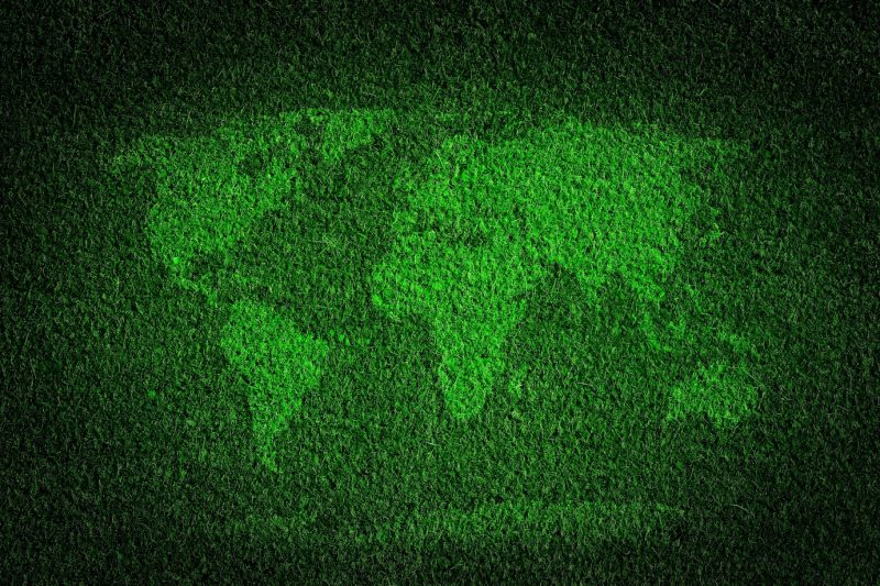 World map made with grass Free Photo